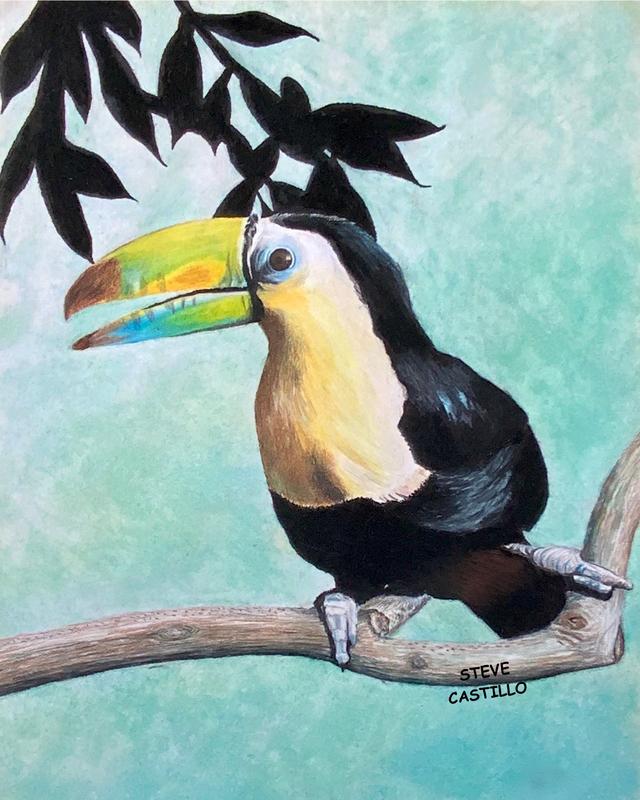 Toucandoit